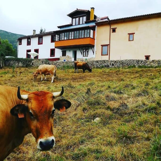 Vila Casa Cosaratu, 2-9 Personas Borines Exteriér fotografie